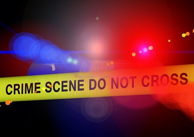 True Crime - Media - Crimine, giustizia - Foto di Gerd Altmann da Pixabay - geralt-police-850054_640